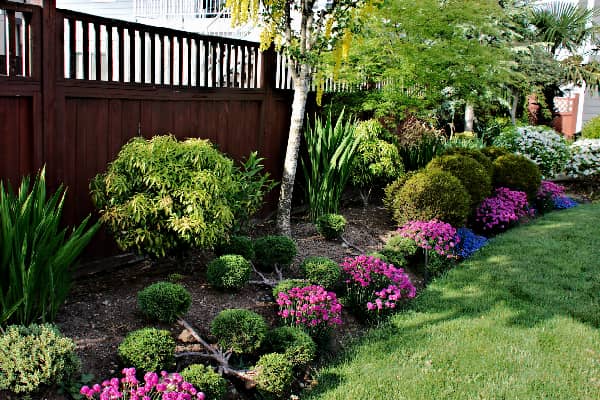 Professional Lawn Care in Manlius, NY