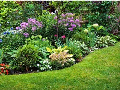 Lawn and Garden Care Services